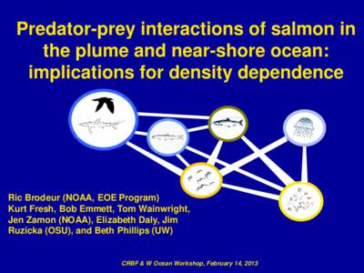 Predator-prey interactions of salmon in the plume and near-shore ocean: implications for density dependence Ric Brodeur (NOAA, EOE Program) Kurt Fresh, Bob Emmett, Tom Wainwright,