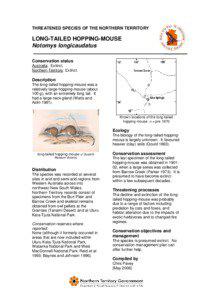 THREATENED SPECIES OF THE NORTHERN TERRITORY  LONG-TAILED HOPPING-MOUSE