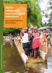 REDD+ safeguards: more than good intentions? Case studies from the Accra Caucus