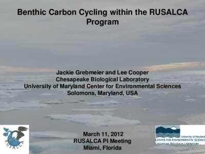 Benthic Carbon Cycling within the RUSALCA Program Jackie Grebmeier and Lee Cooper Chesapeake Biological Laboratory University of Maryland Center for Environmental Sciences