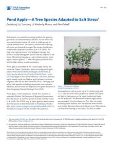 HS1281  Pond Apple—A Tree Species Adapted to Salt Stress1 Guodong Liu, Yuncong Li, Kimberly Moore, and Kim Gabel2  Soil salinity is a naturally occurring problem for growers,