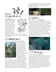 Landscaping .Native Plants.pdf