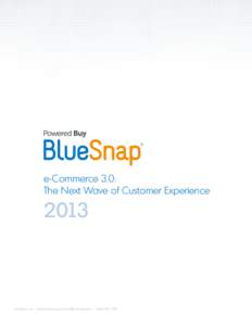 e-Commerce 3.0: The Next Wave of Customer ExperienceBlueSnap, Inc. – w w w.bluesnap.com  – 