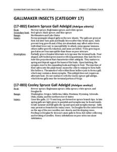 Common Stand Exam Users Guide – Insect & Disease  Category 17: Gallmaker Insects GALLMAKER INSECTS (CATEGORY[removed]Eastern Spruce Gall Adelgid (Adelges abietis)