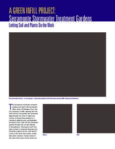 A GREEN INFILL PROJECT: Serramonte Stormwater Treatment Gardens Letting Soil and Plants Do the Work Four bioretention basins—or rain gardens—help purify polluted runoff. Illustration courtesy CMG Landscape Architectu