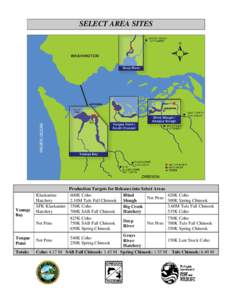 Coho salmon / Chinook salmon / Chinook wind / Columbia River / Fish / Oncorhynchus / Salmon