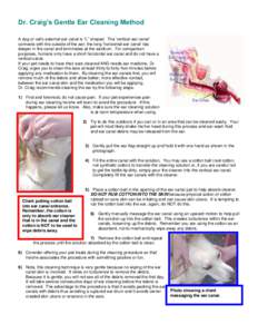 Dr. Craig’s Gentle Ear Cleaning Method A dog or cat’s external ear canal is “L” shaped. The ‘vertical ear canal’ connects with the outside of the ear; the long ‘horizontal ear canal’ lies deeper in the ca
