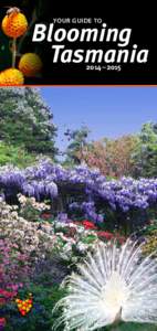 Gardening / Royal Tasmanian Botanical Gardens / Botany / Biology / Australia / Tasmania / Tasmanian Bushland Garden / Botanical garden