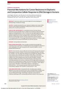 Research  Preliminary Communication Potential Mechanisms for Cancer Resistance in Elephants and Comparative Cellular Response to DNA Damage in Humans