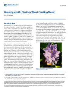 SS-AGR-380  Waterhyacinth: Florida’s Worst Floating Weed1 Lyn A. Gettys2  Introduction