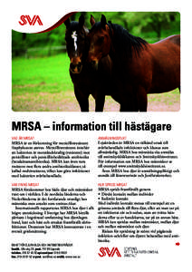 MRSA – information till hästägare VAD ÄR MRSA? MRSA är en förkortning för meticillinresistent Staphylococcus aureus. Meticillinresistens innebär att bakterien är motståndskraftig (resistent) mot penicilliner o