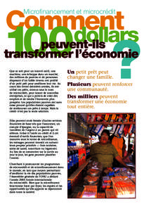 MicroCredit Brochure F26/8/04