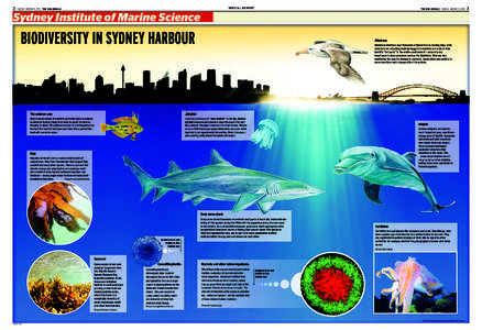 Fisheries / Laminariales / Bacteriology / Microbiology / Seaweeds / Kelp forest / Ecklonia radiata / Kelp / Marine biology / Algae / Biology / Water