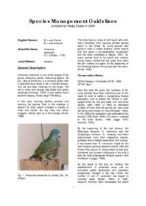 Species Management Guidelines compiled by Nadja Ziegler in 2000 English Name/s  St. Lucia Parrot,