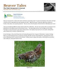 Beaver Tales The Park Interpreter’s Journal Manitoba Parks and Natural Areas Bush Chickens By Sloan Cathcart