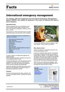 Danish Emergency Management Agency / Management / Disaster preparedness / Urban search and rescue / Search and rescue / Federal Emergency Management Agency / Public safety / Rescue / Emergency management