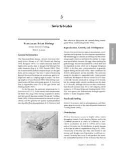 3 Invertebrates Franciscan Brine Shrimp Artemia franciscana Kellogg