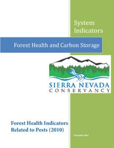 Forest Health and Carbon Storage