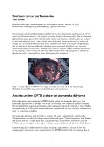 De tasmanska djävlarna (Sarcophilus harrisii) dör av smittsam cancern DFTD