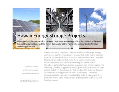 Hawaii Energy Storage Projects Developed in collaborative effort between the Hawaii State Energy Office, the University of Hawaii Natural Energy Institute, and the Energy Excelerator at the Pacific International Center f