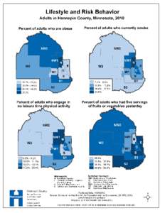 Lifestyle and Risk Behavior, Adults in Hennepin County Minnesota