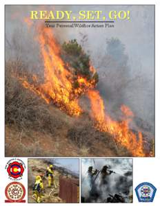 Combustion / Wildfires / Natural hazards / Occupational safety and health / Defensible space / Firefighter / Fuel ladder / Embers / Combustibility / Fire / Wildland fire suppression / Heat transfer