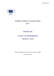 Opinion of the Scientific Committee on Consumer Safety on 2,6-diaminopyridine