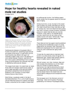 Aging / Population / Old World rats and mice / Naked mole rat / Cardiovascular disease / Barshop Institute / Rat / Ageing / University of Texas Health Science Center at San Antonio / Bathyergidae / Gerontology / Biology