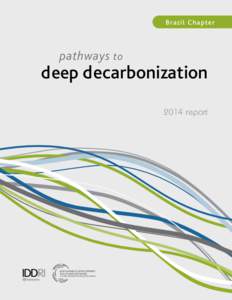 B ra z i l C hap te r  pathways to pathways to deep decarbonization