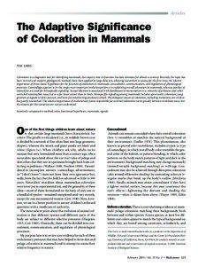 Animals / Biological evolution / Color / Human evolution / Point coloration / Elk / Biology / Zoology / Animal coloration