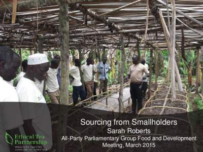 Sourcing from Smallholders Sarah Roberts All-Party Parliamentary Group Food and Development Meeting, March 2015  ETP Members