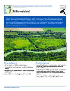 PUGET SOUND NEARSHORE ECOSYSTEM RESTORATION PROJECT (PSNERP) POTENTIAL RESTORATION SITES Milltown Island  IMAGE: Washington State Department of Ecology (2006)