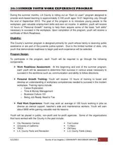 Microsoft Word - SYWEP Fact Sheet[removed]docx