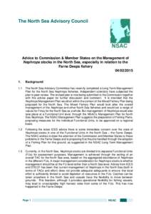 The North Sea Advisory Council  Advice to Commission & Member States on the Management of Nephrops stocks in the North Sea, especially in relation to the Farne Deeps fishery