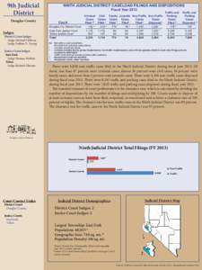 9th Judicial District Douglas County Judges:  District Court Judges