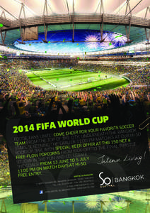 2014 FIFA World Cup Flyer