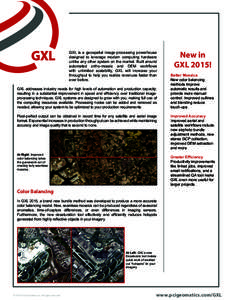 GXL is a geospatial image-processing powerhouse designed to leverage modern computing hardware unlike any other system on the market. Built around automated ortho-mosaic and DEM workﬂows with unlimited scalability, GXL