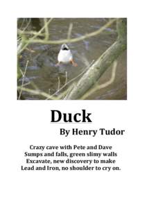    Duck	
   By	
  Henry	
  Tudor	
   	
   Crazy	
  cave	
  with	
  Pete	
  and	
  Dave	
  