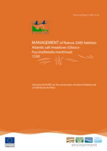 Counties of England / Ecology / Marshes / Salt marsh / Soil / Managed retreat / The Wash / High marsh / Salt-marsh communities in the British National Vegetation Classification system / Physical geography / Coastal geography / Geography of England