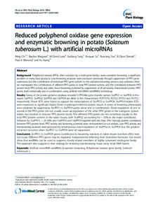 Fatty acid profiles and their distribution patterns in microalgae: a comprehensive analysis of more than 2000 strains from the SAG culture collection