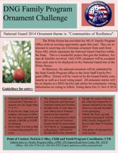 DNG Family Program Ornament Challenge National Guard 2014 Ornament theme is: 