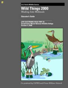 U.S. Fish & Wildlife Service  Wild Things 2000 Wading Into Wetlands Educator’s Guide ___________________________________