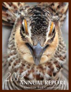 2012Annual Report A m e rican Bird Conservancy Board Chair Warren Cooke. Photo: Cathy Cooke