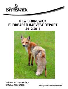 NEW BRUNSWICK FURBEARER HARVEST REPORT[removed]FISH AND WILDLIFE BRANCH NATURAL RESOURCES