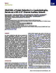 GlialCAM, a Protein Defective in a Leukodystrophy, Serves as a ClC-2 Cl- Channel Auxiliary Subunit