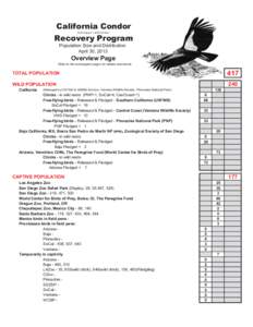 Ventana Wildlife Society / California Condor / Ornithology / World Center for Birds of Prey / Biology / The Peregrine Fund / Bird / Condor / San Diego Zoo Safari Park / Cathartidae / New World vultures / Zoology