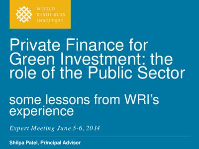 Private Finance for Green Investment: the role of the Public Sector some lessons from WRI’s experience Expert Meeting June 5-6, 2014