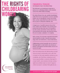 Childbirth / Behavior / Midwifery / Pregnancy / Breastfeeding / National Maternity Action Plan / Birth in Japan / Reproduction / Obstetrics / Medicine