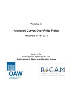 Workshop on  Algebraic Curves Over Finite Fields November 11-15, 2013  as part of the