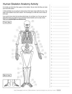 Ask A Biologist - Human Skeleton - Worksheet Activity